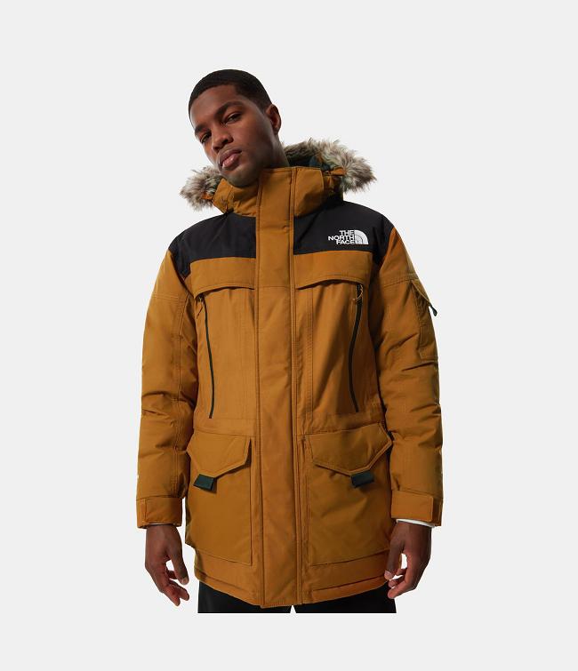 The North Face Mcmurdo 2 Parka Homme 